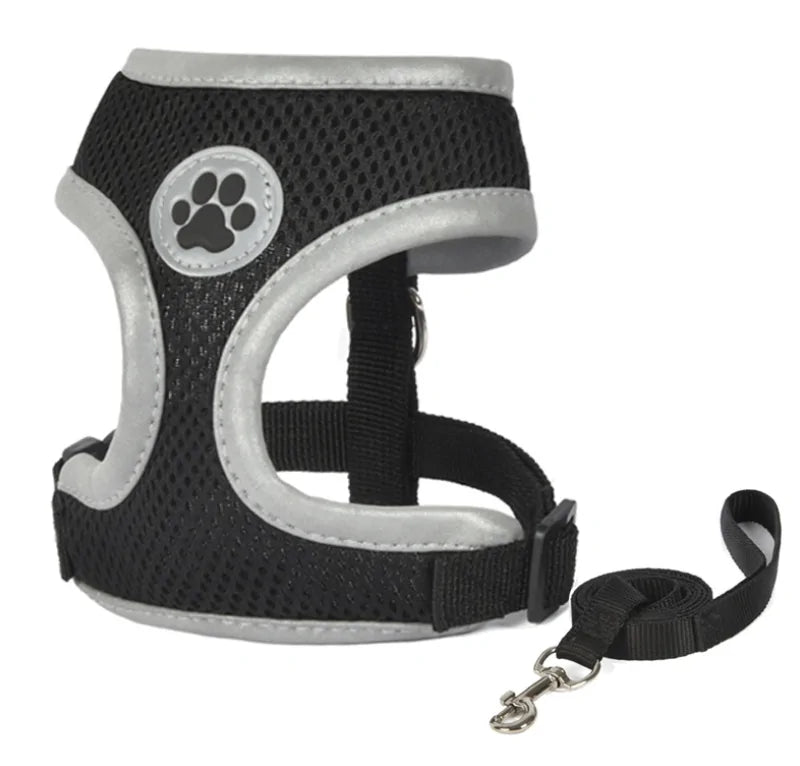 Comfortable Breathable Harness For Your Pet