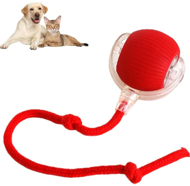 Smart Rolling Pet Play Ball