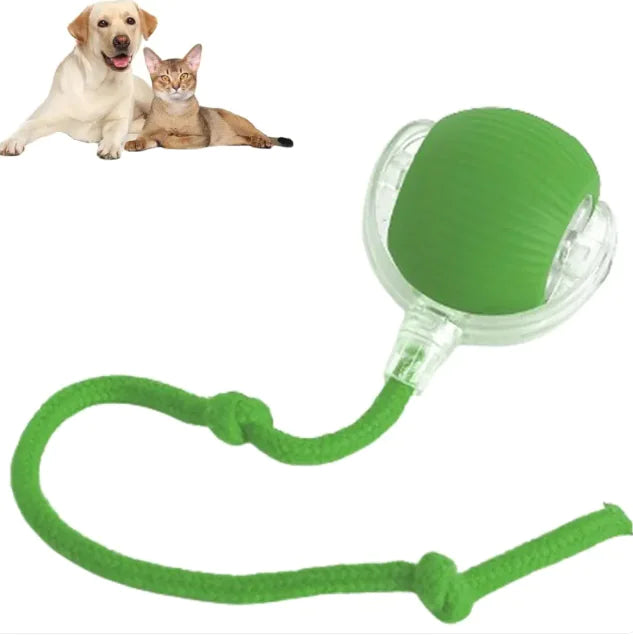 Smart Rolling Pet Play Ball