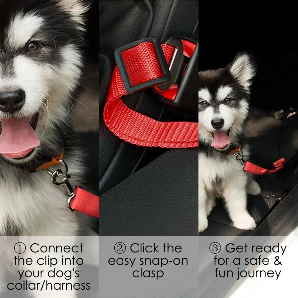 Pet Car Safety Belt Harness: Adjustable Seat Belt for Dogs and Cats