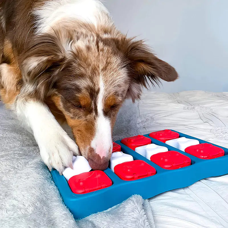 Puzzle Treat Box for Pets