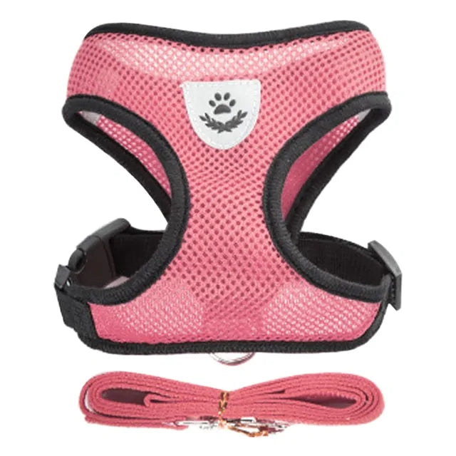 Adjustable Dog Harness