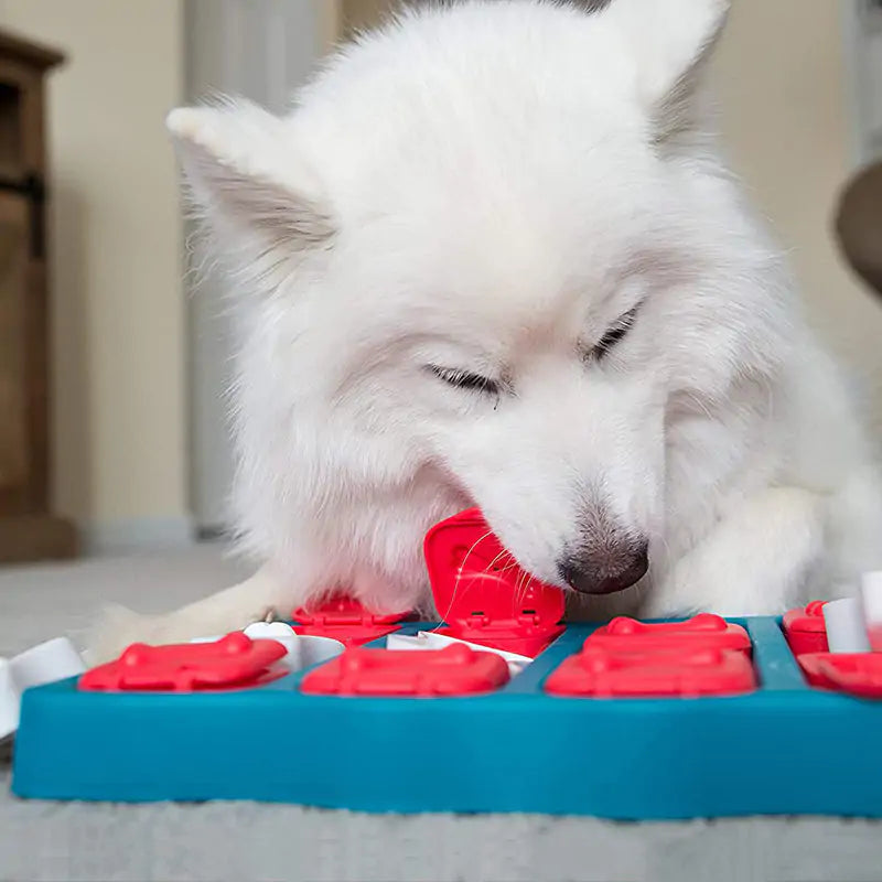 Puzzle Treat Box for Pets