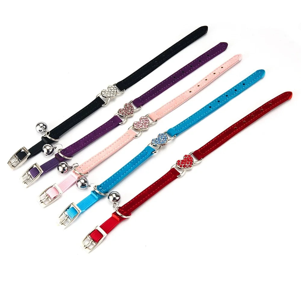 Kitten Puppy Leash Collars